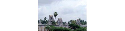 244. திருவோத்தூர்